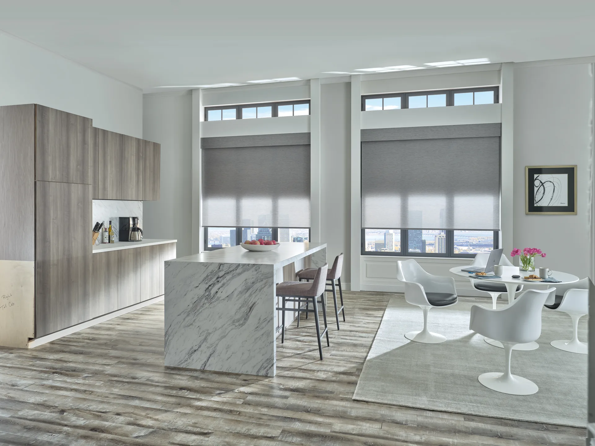 Gray Designer Roller Shades in a modern city-view kitchen